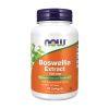 Boswellia-Extrakt NOW, 500 mg (90 Weichkapseln)
